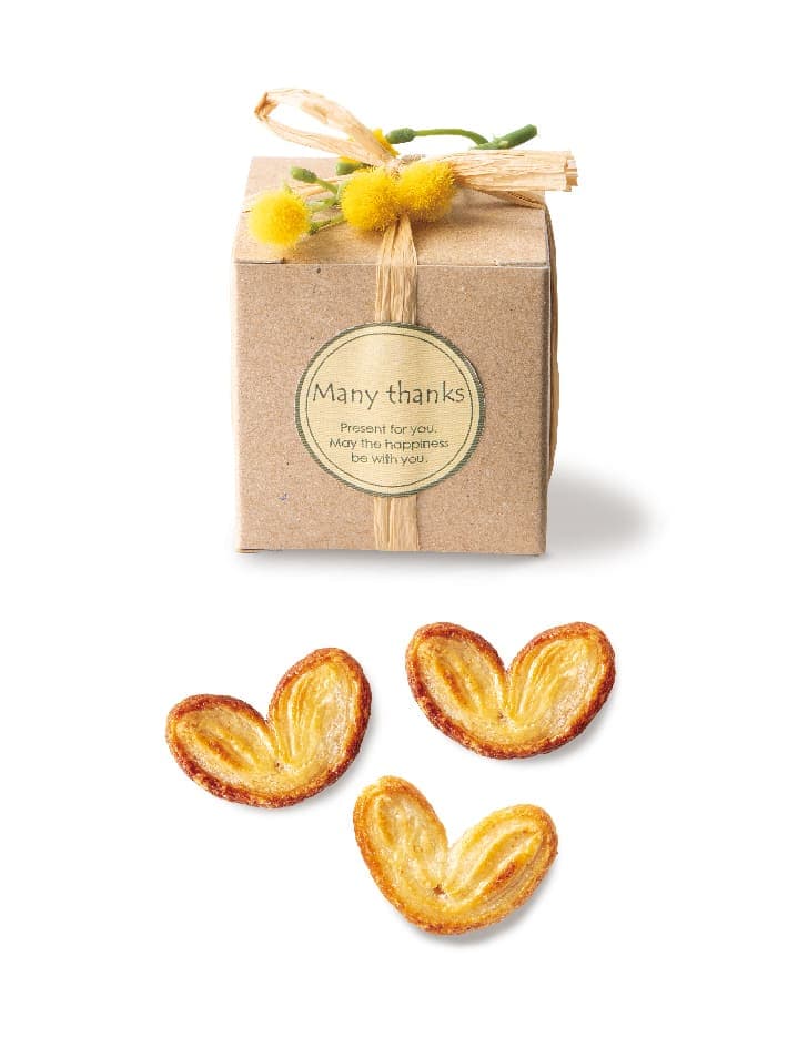 ミモザの花言葉×5パック