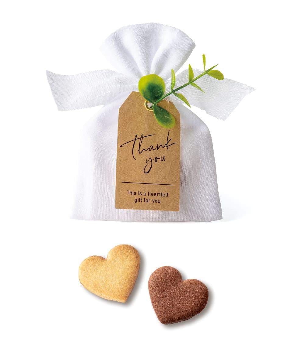 ナチュラルコットン×5パック