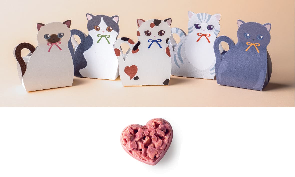 ニャンクス(クランチ)×5パック