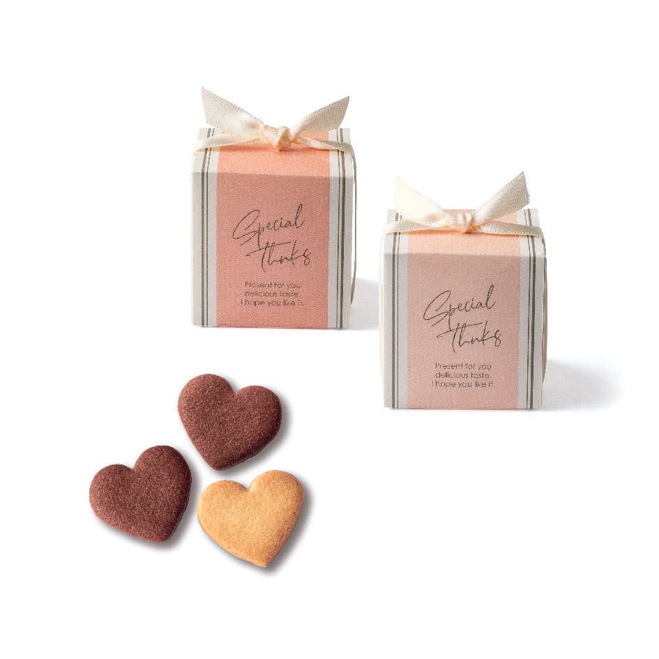 ダリアグレース(コーラルP)×5パック