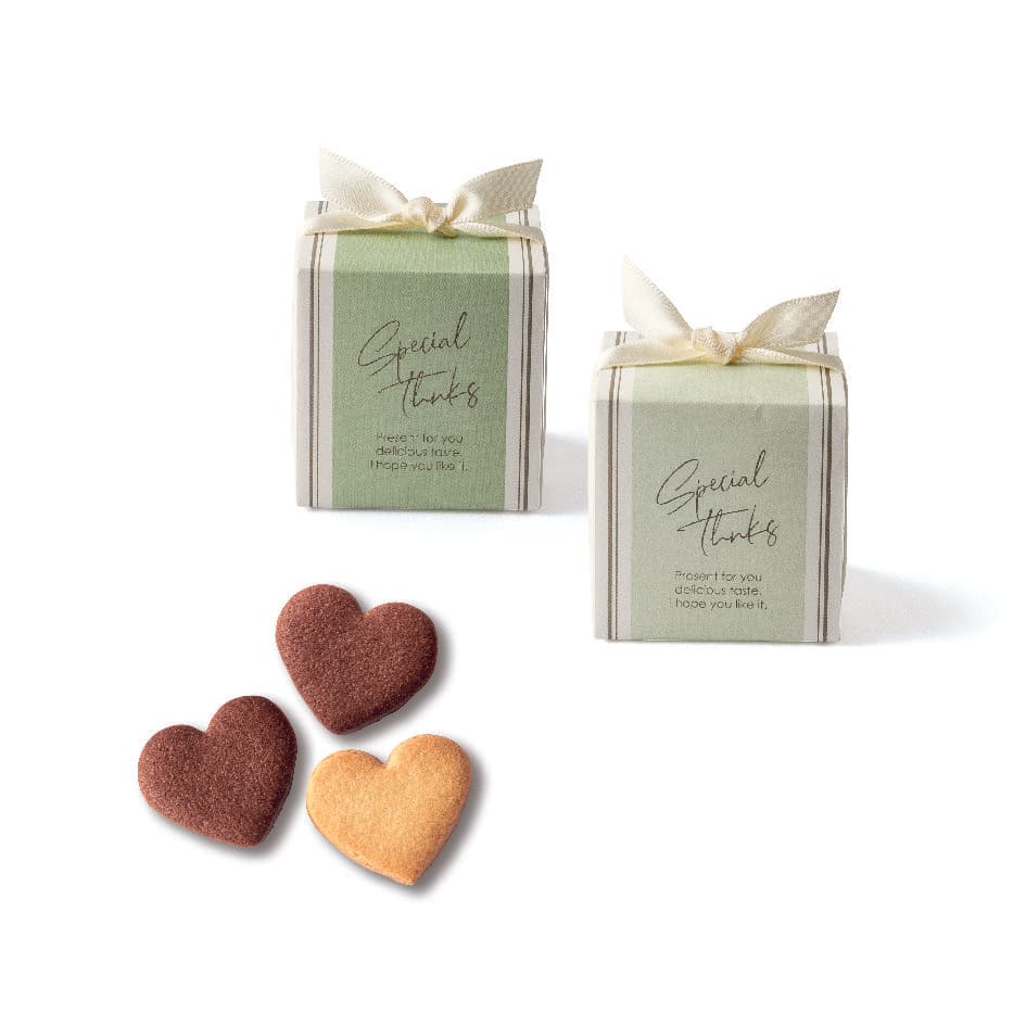 ダリアグレース(モスG)×5パック