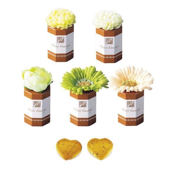 ガーデン×5パック