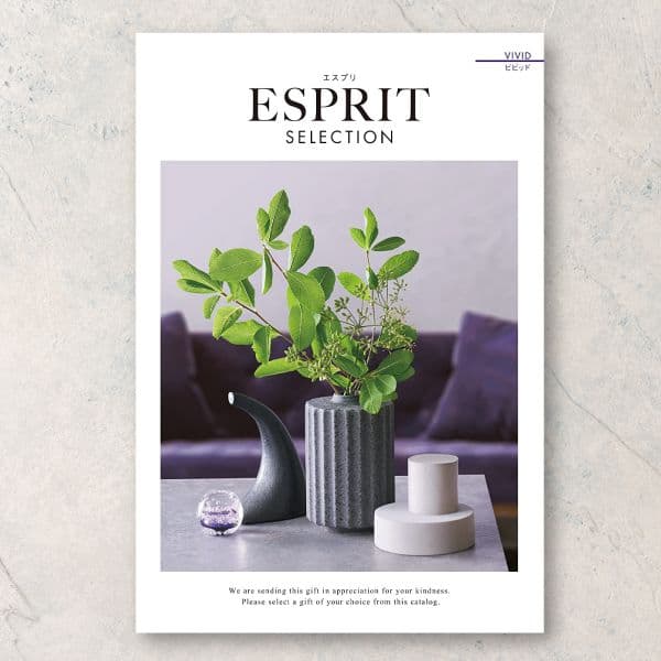 ビビッド【20,900円コース】