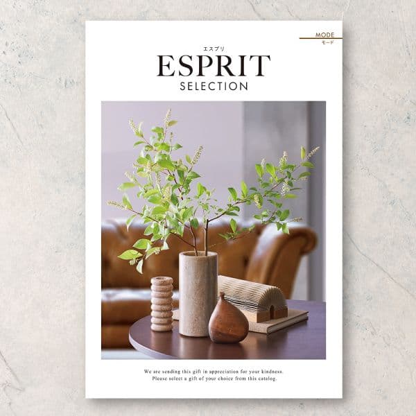 モード【30,900円コース】