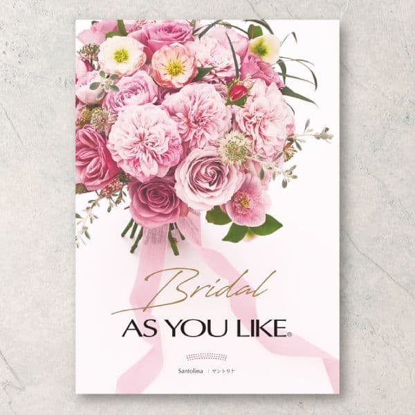 サントリナ 【3,900円コース】