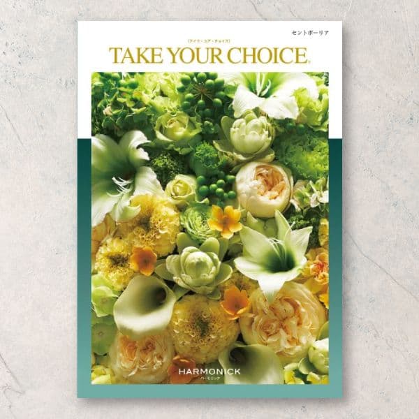 セントポーリア【25,900円コース】